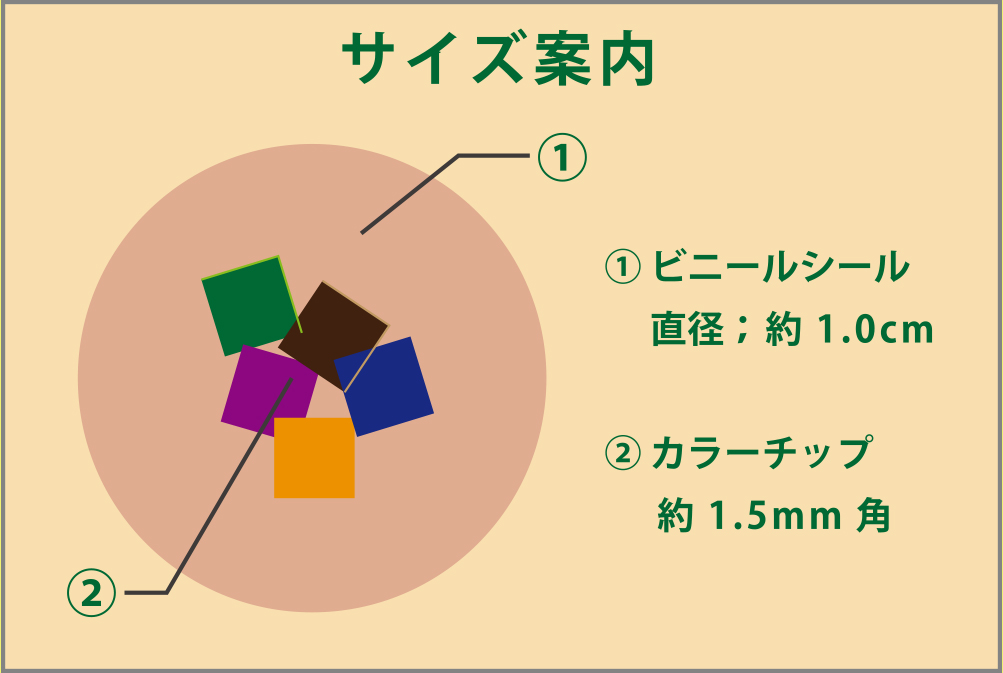 サイズ案内